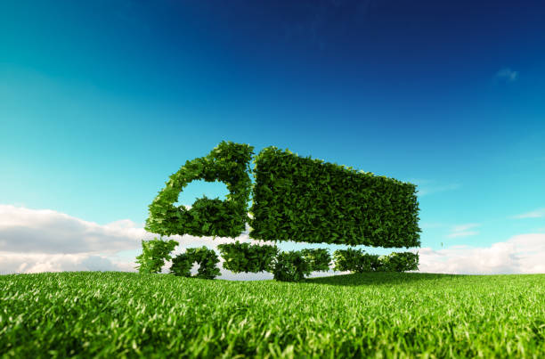 istockphoto 958709518 612x612 1