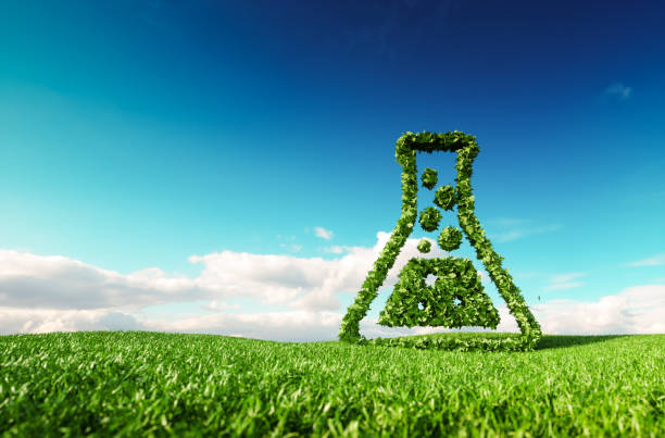 istockphoto 959895444 612x612 1
